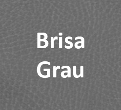 Brisa Grau