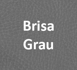 Brisa Grau